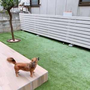 人工芝で愛犬も喜ぶお庭に【さいたま市S様邸　A24085】